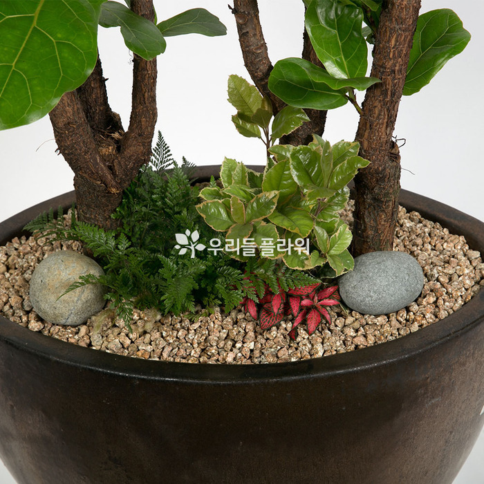 상세이미지
