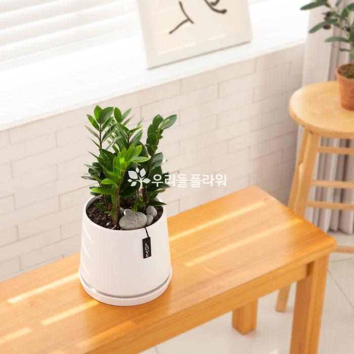 상세이미지