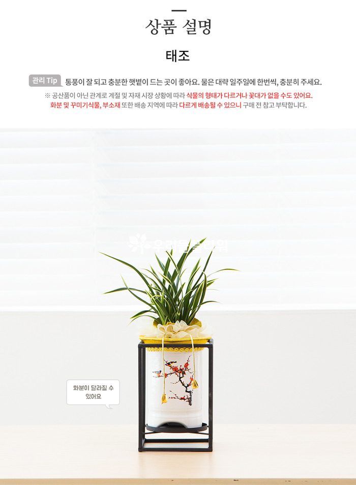 상세이미지
