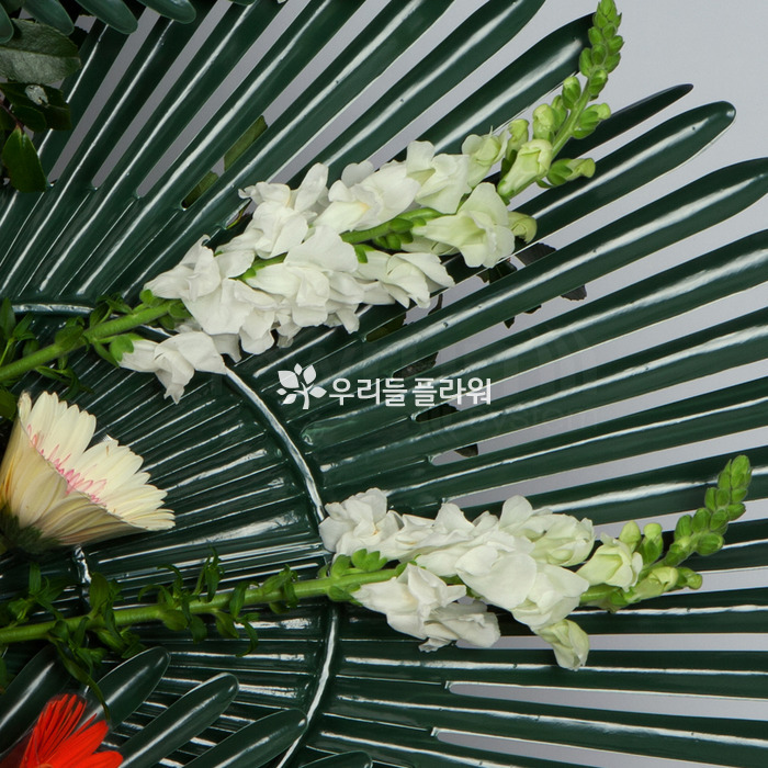 상세이미지