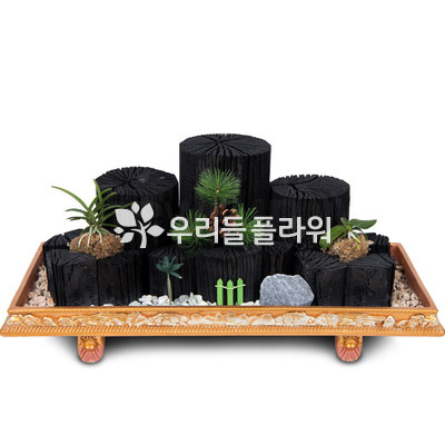 숯분재 m506