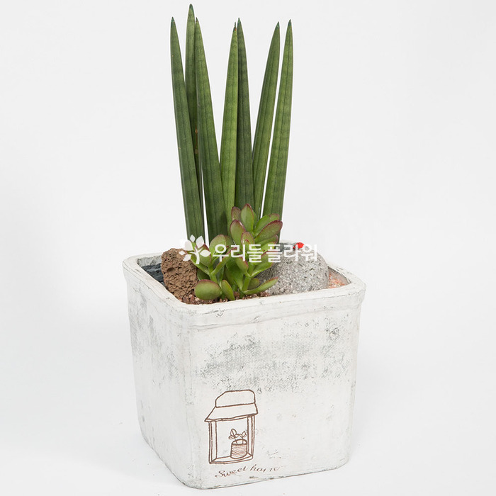 상세이미지