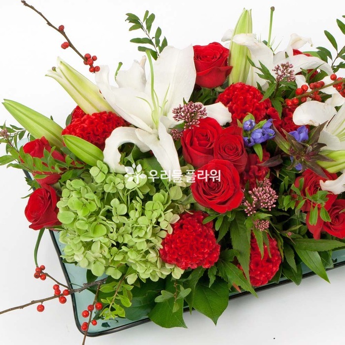 상세이미지
