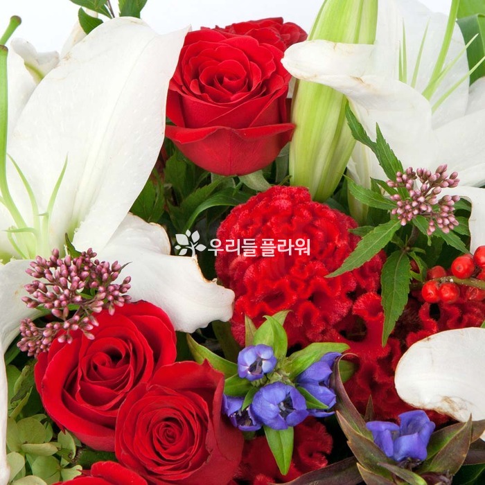 상세이미지
