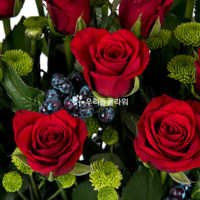 상세이미지