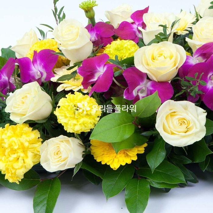 상세이미지