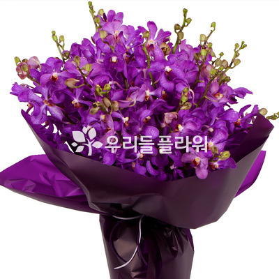 모카라꽃다발(보라)