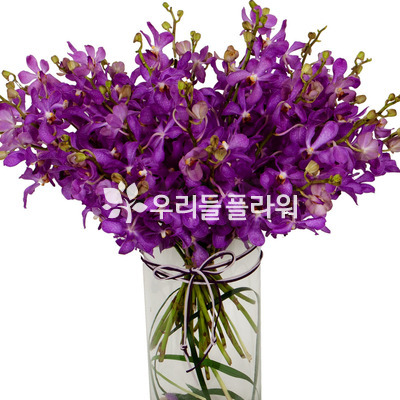 모카라화병