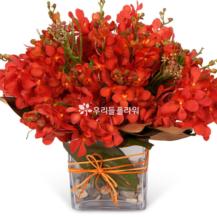 상세이미지