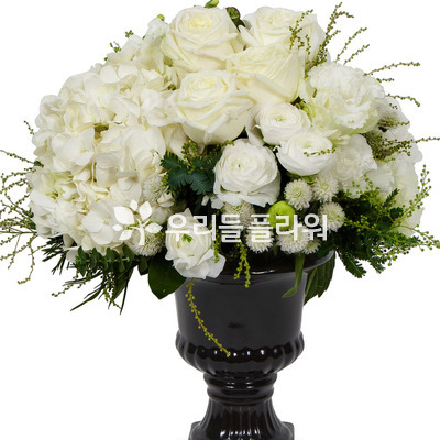 순백의사랑