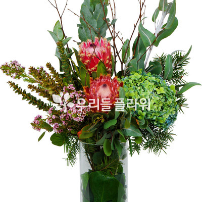 혼합화병