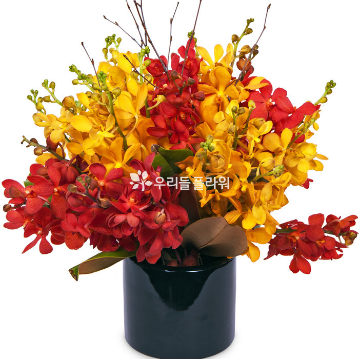 상세이미지
