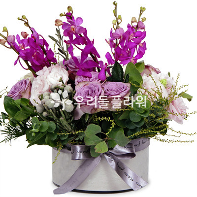 시크릿러브