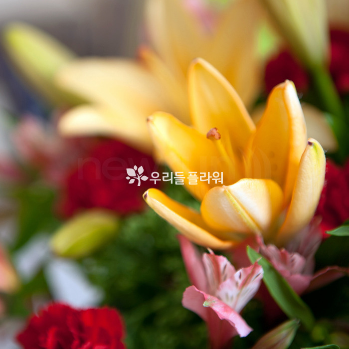 상세이미지