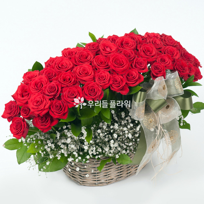 상세이미지