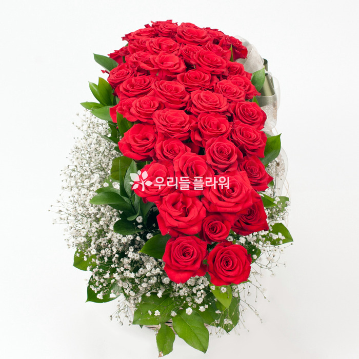 상세이미지