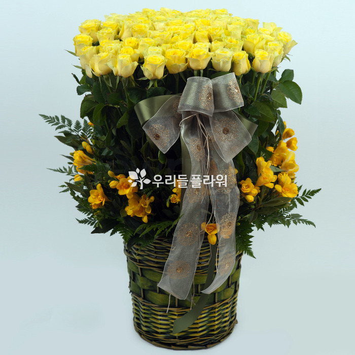 상세이미지