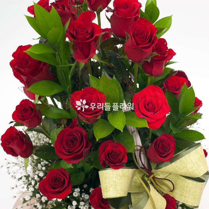 상세이미지