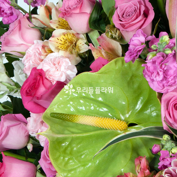 상세이미지
