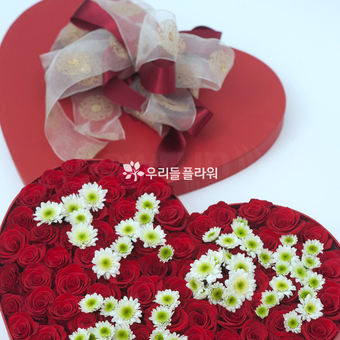 상세이미지