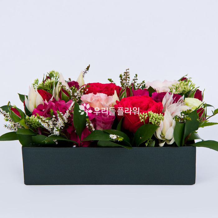 상세이미지