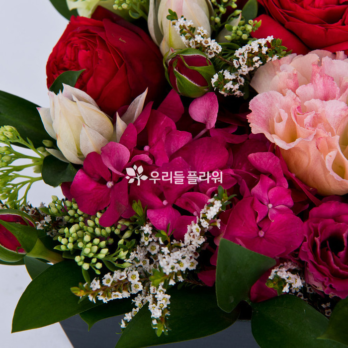 상세이미지