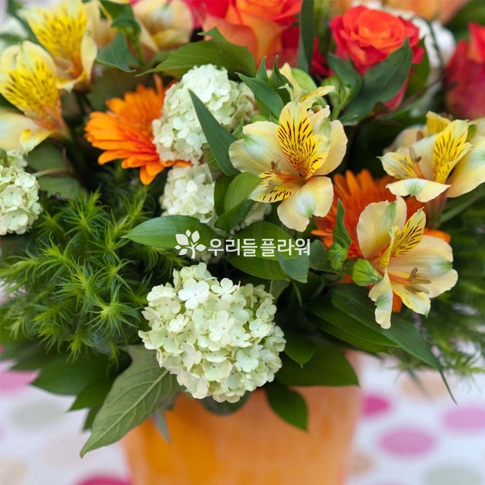 상세이미지