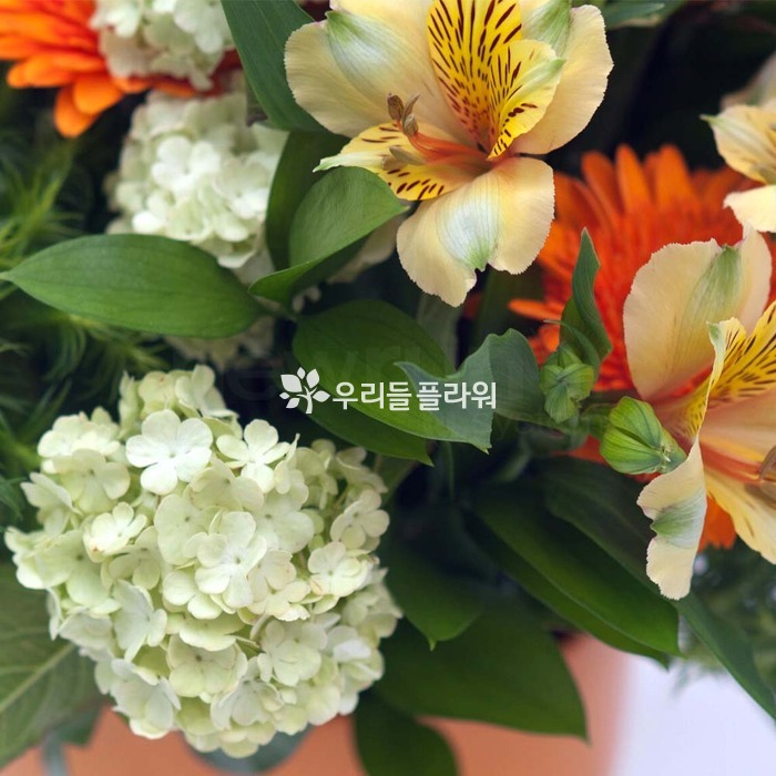 상세이미지