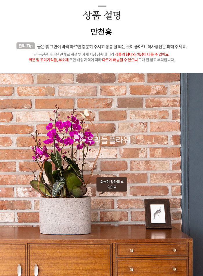 상세이미지