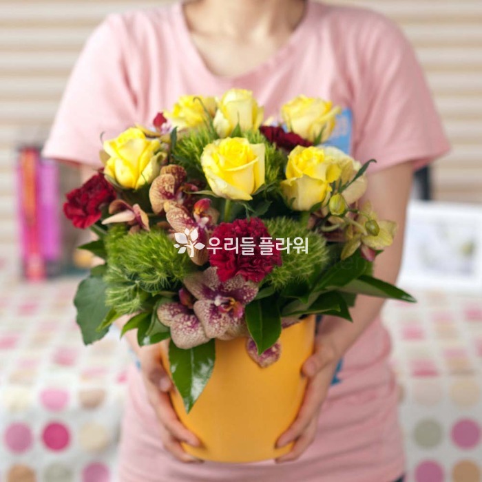 상세이미지