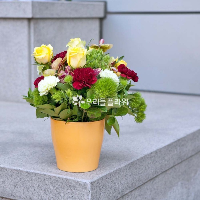 상세이미지