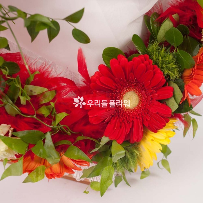 상세이미지