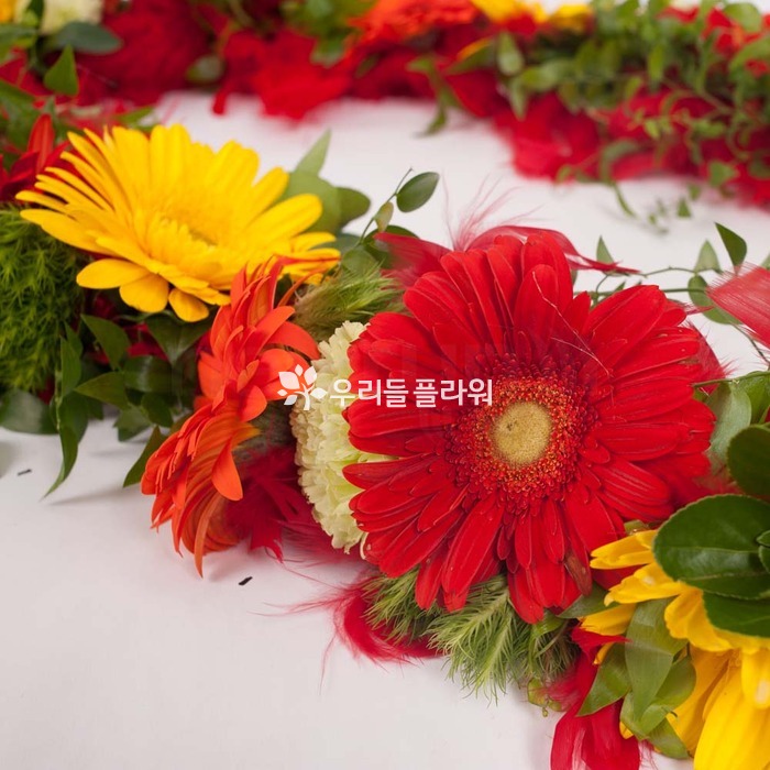 상세이미지