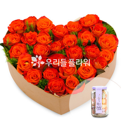 꽃기쁨33호