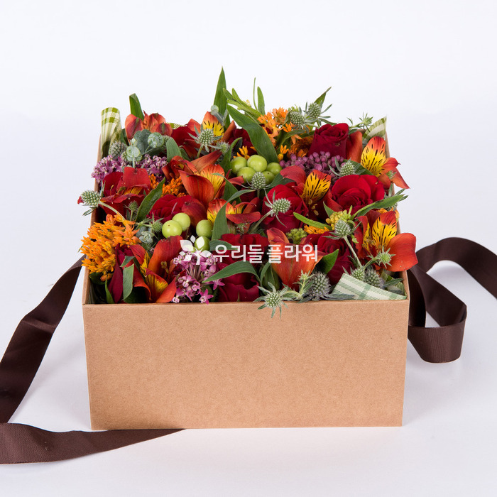 상세이미지