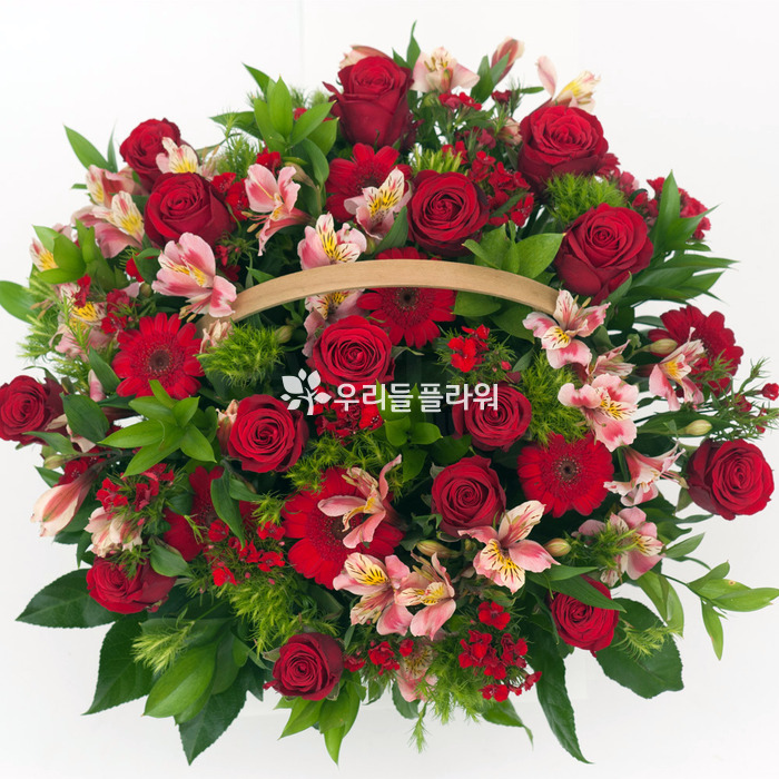 상세이미지