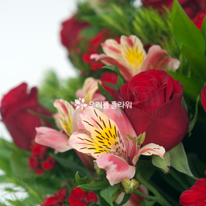 상세이미지