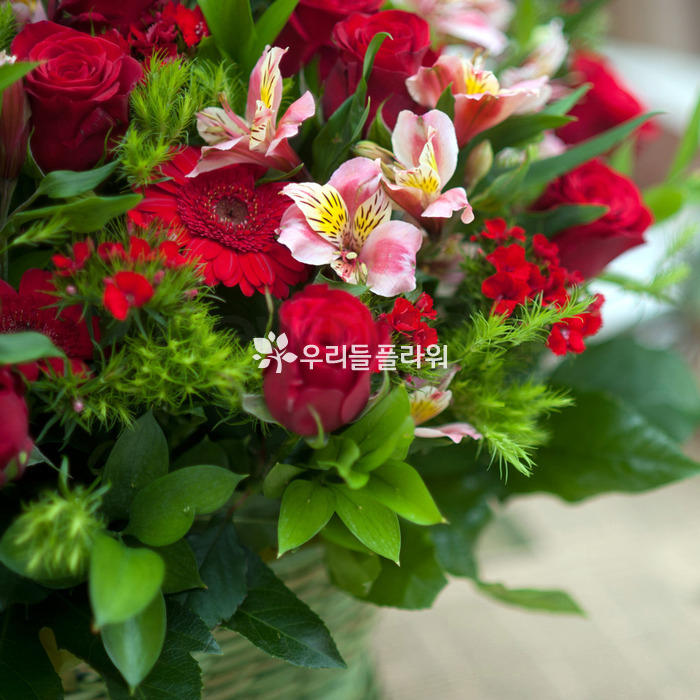 상세이미지