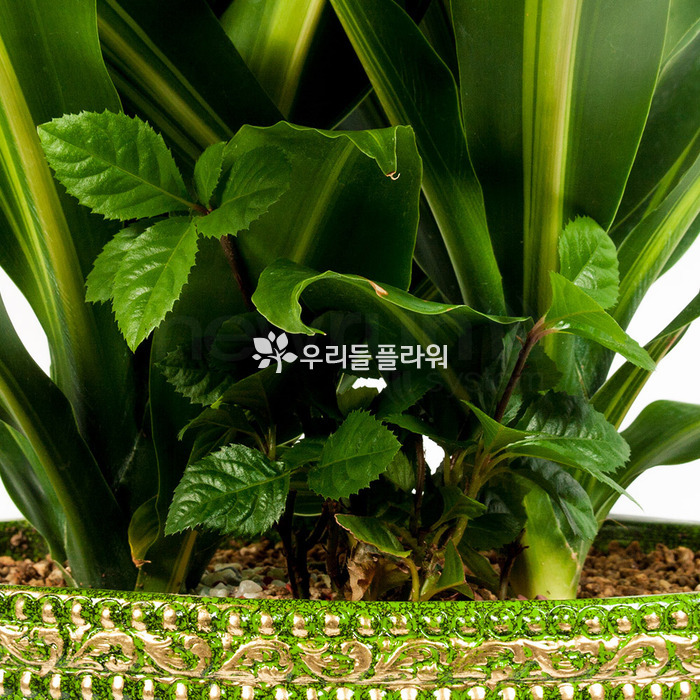 상세이미지