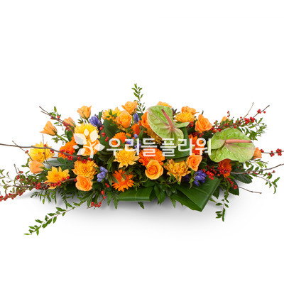 유색계열사방화