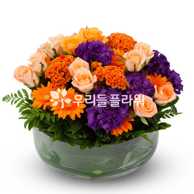 알록~ 달록~