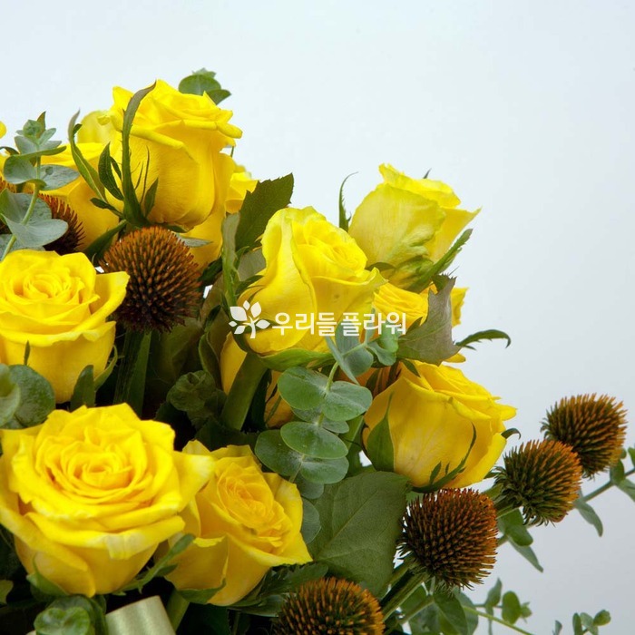 상세이미지