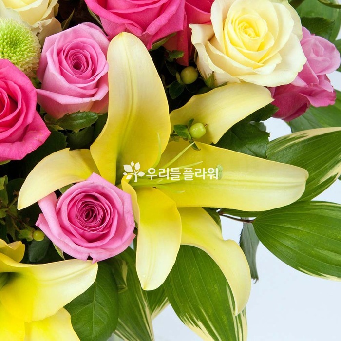 상세이미지