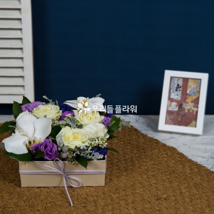 상세이미지